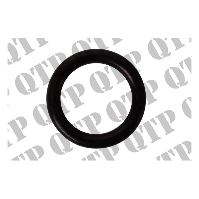 O Ring Water Pump